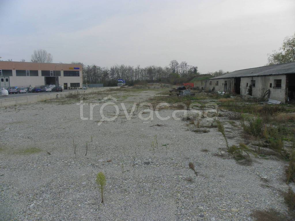 immagine annuncio 8 di 11