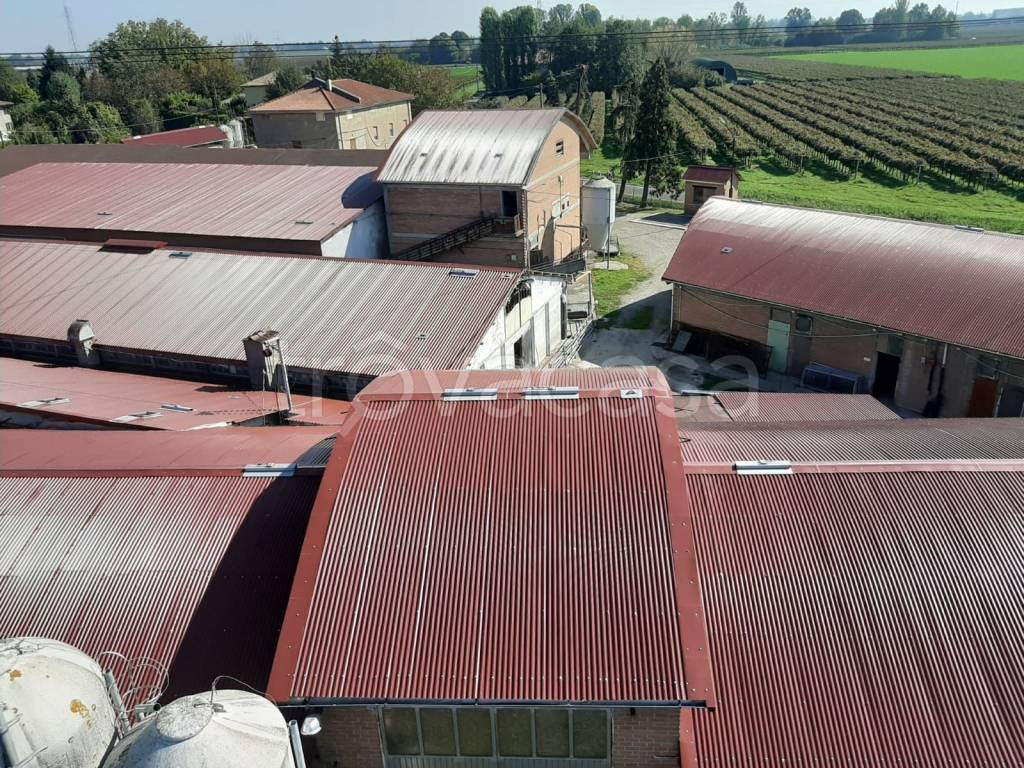 Capannone Industriale in in vendita da privato a Correggio via San Martino, 39