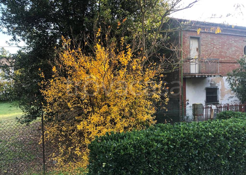 immagine annuncio 1 di 7