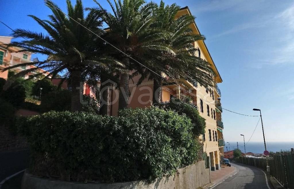Appartamento in in vendita da privato a Borgio Verezzi via Nazario Sauro