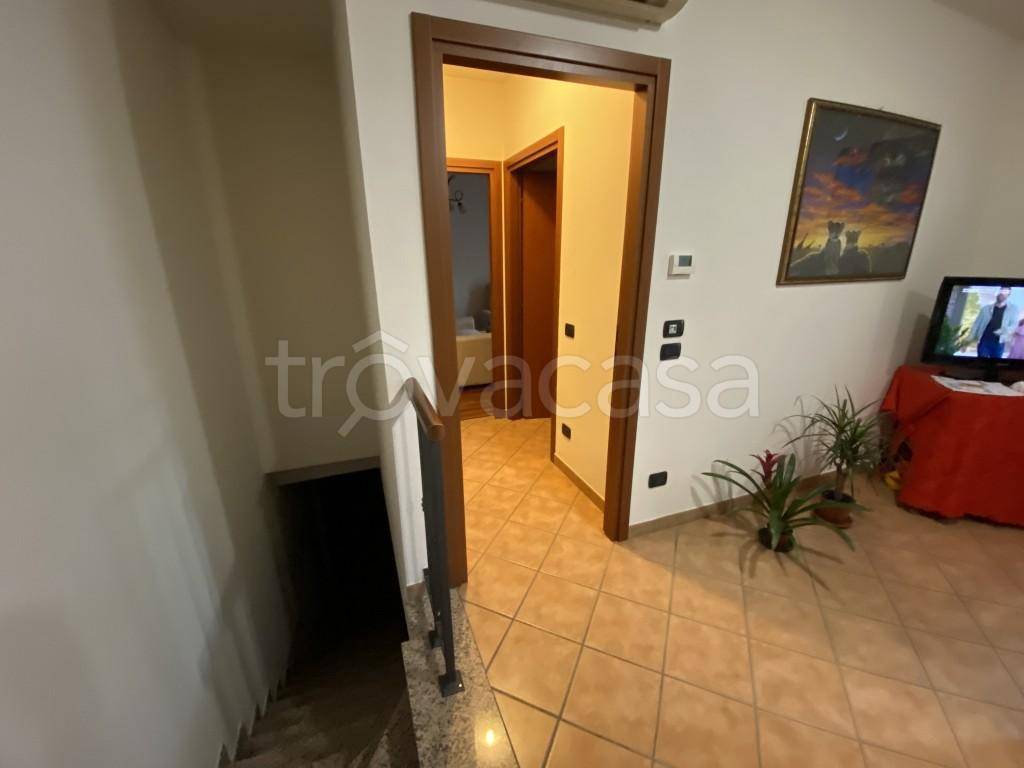 immagine annuncio 7 di 8