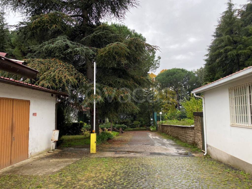 immagine annuncio 13 di 14