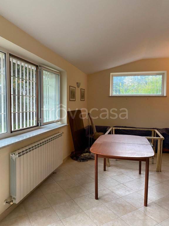 immagine annuncio 9 di 14