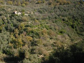 Terreno agricolo in vendita a civezza via civezza, 47