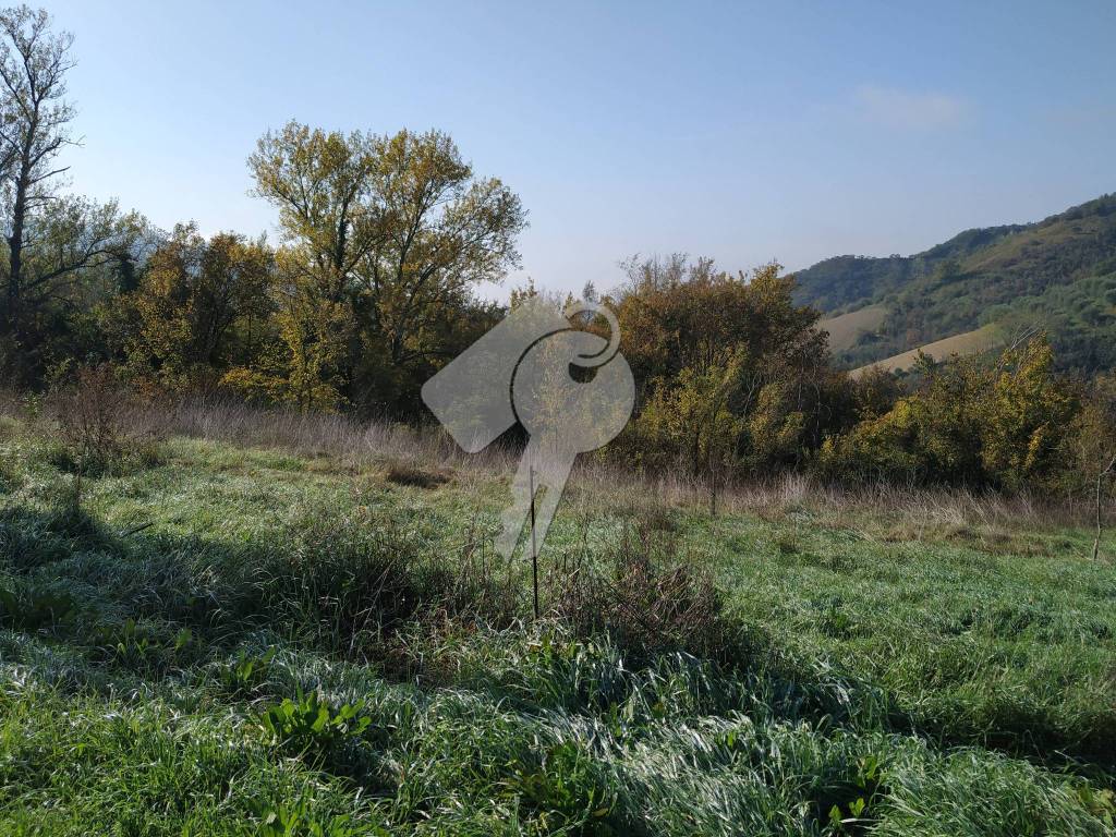 immagine annuncio 4 di 9