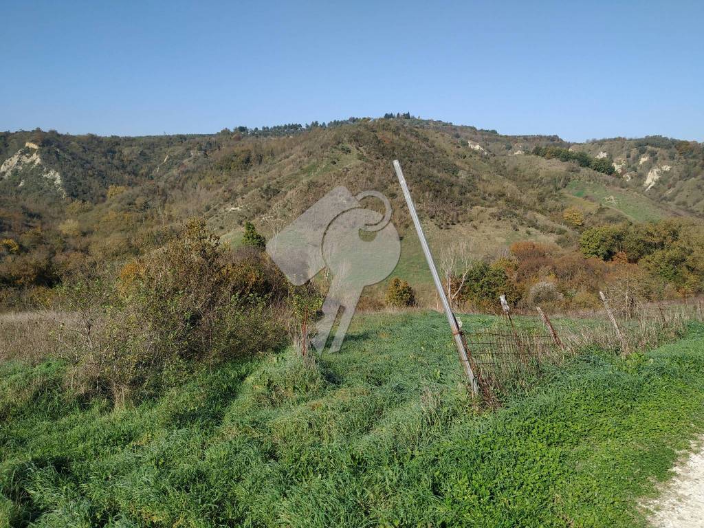 immagine annuncio 6 di 9