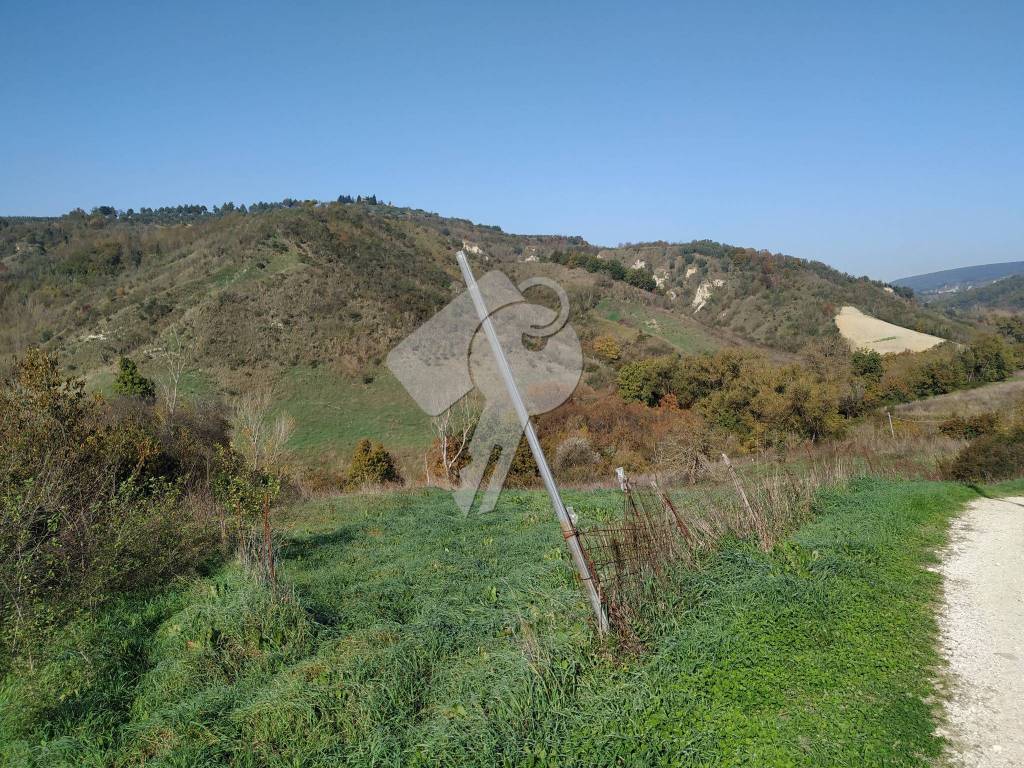 immagine annuncio 7 di 9