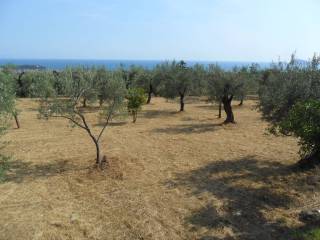 Terreno agricolo in vendita a formia via ponzanello