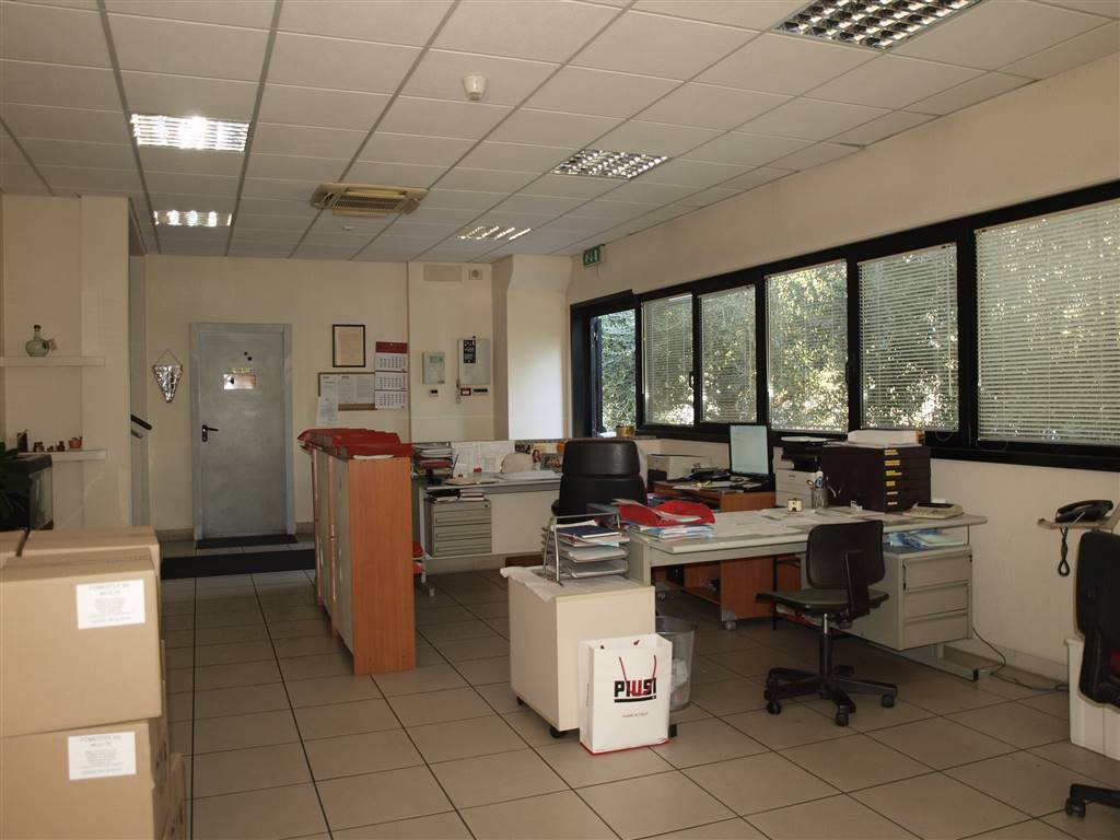 immagine annuncio 4 di 6