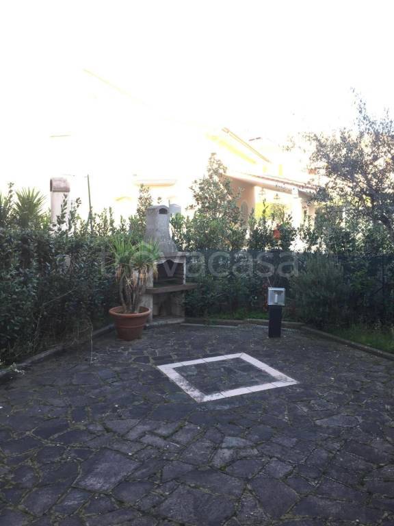 immagine annuncio 3 di 14