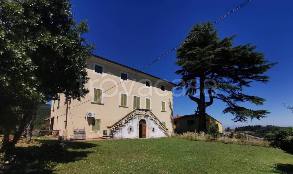 Villa Bifamiliare in vendita a Collesalvetti