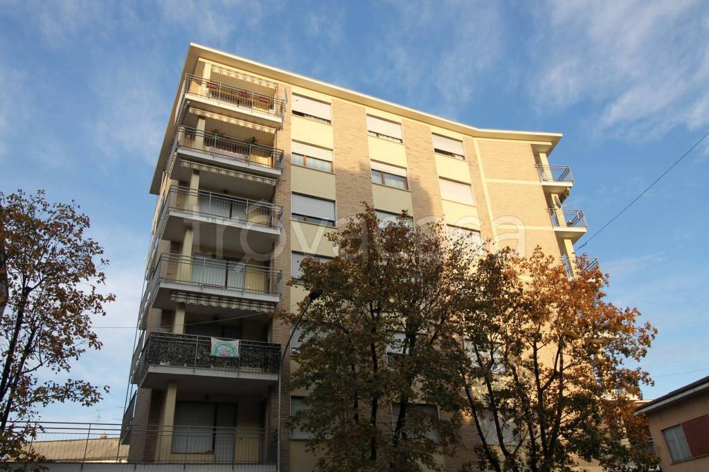 immagine annuncio 12 di 14