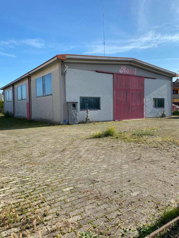 immagine annuncio 4 di 8