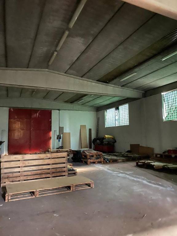 immagine annuncio 6 di 8