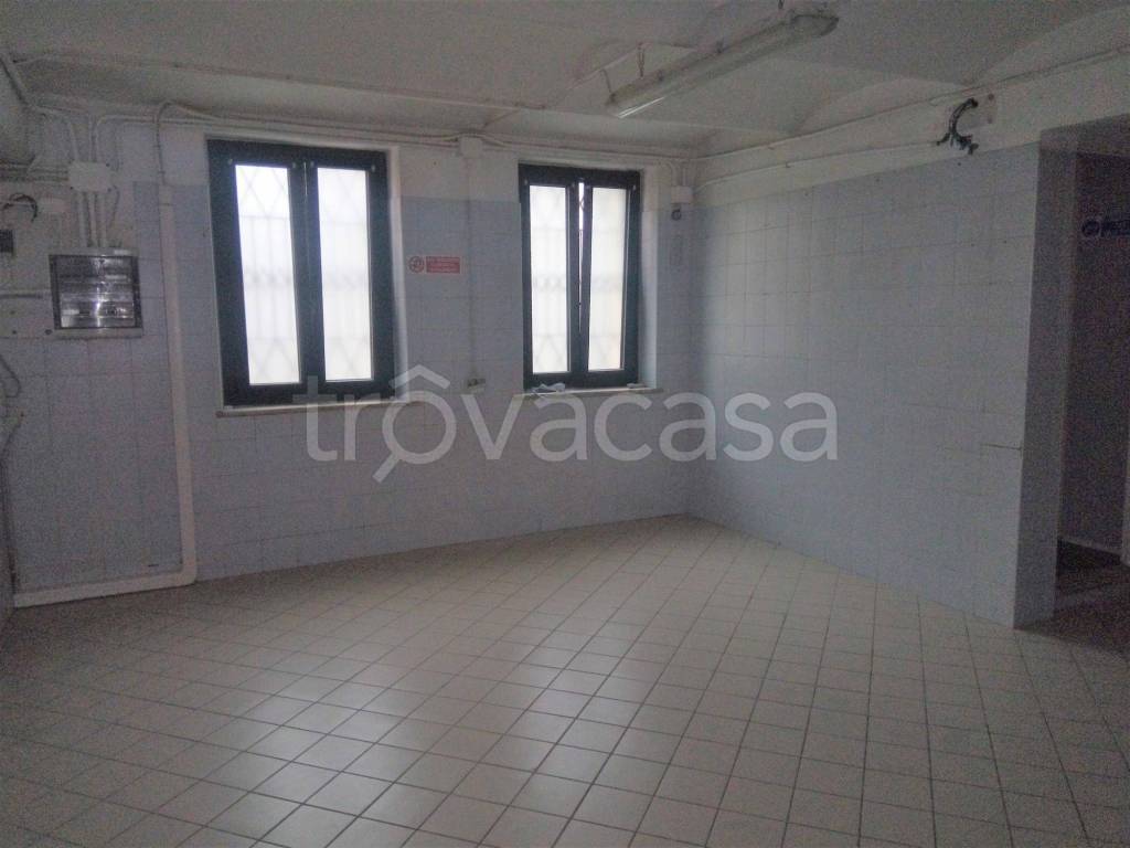 immagine annuncio 12 di 13