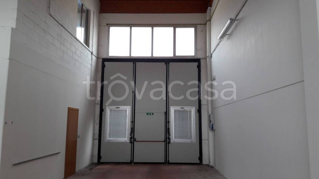 immagine annuncio 2 di 8