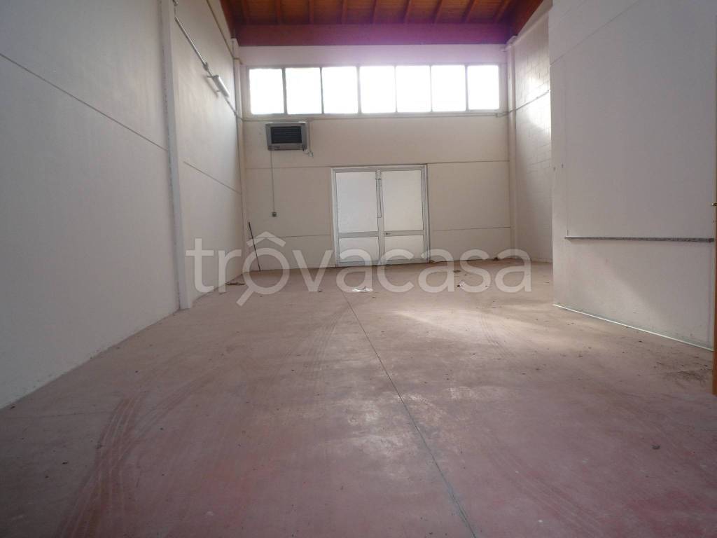 immagine annuncio 3 di 8