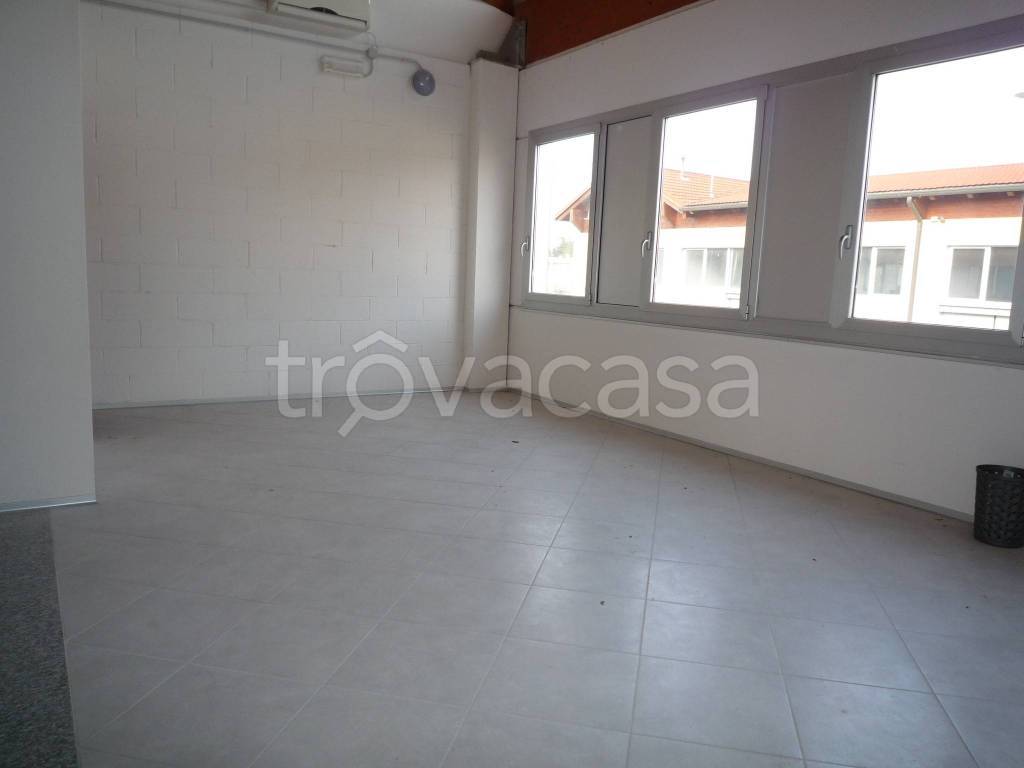 immagine annuncio 5 di 8