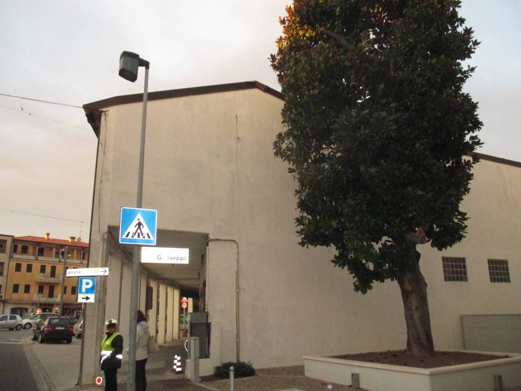 immagine annuncio 12 di 14