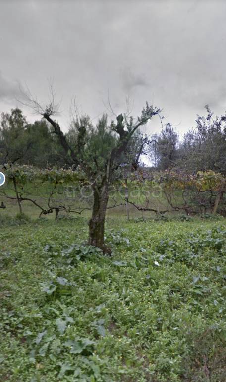 Terreno Agricolo in vendita a Lanuvio via Stragonello