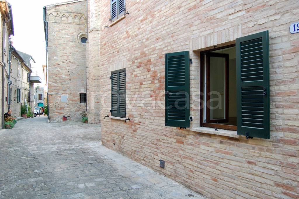 immagine annuncio 3 di 14
