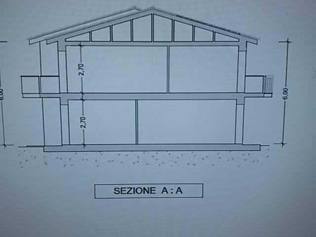 immagine annuncio 12 di 13
