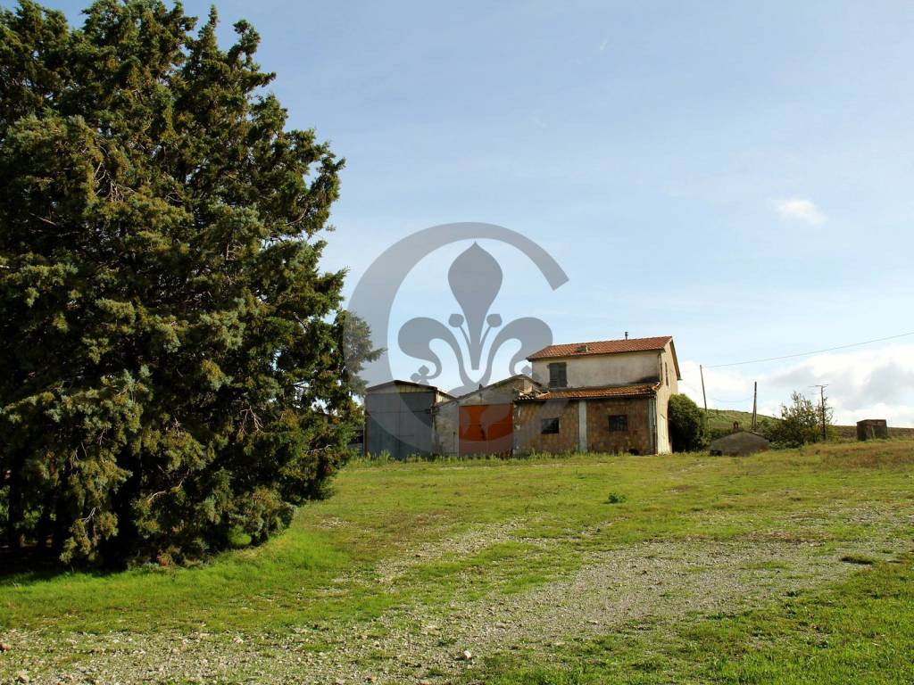 Azienda Agricola in vendita a Castiglione d'Orcia case Sparse Palazzo