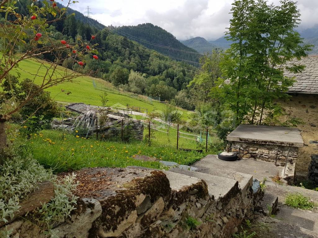 immagine annuncio 2 di 11