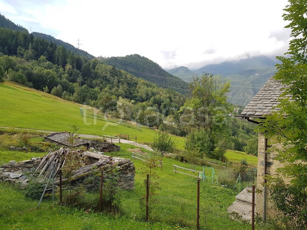 immagine annuncio 3 di 11