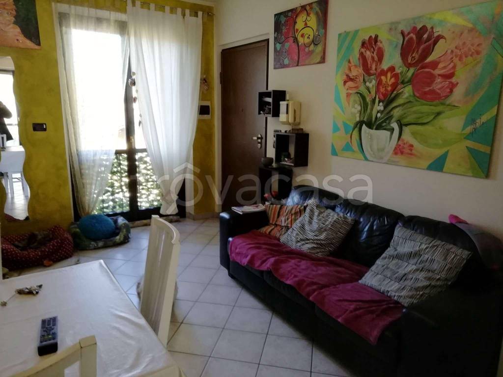 immagine annuncio 4 di 15