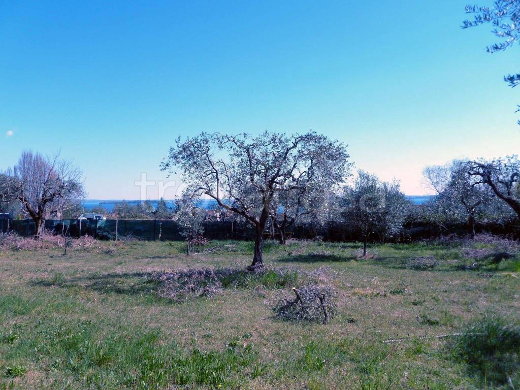 Terreno Agricolo in vendita a Moniga del Garda via Madonna