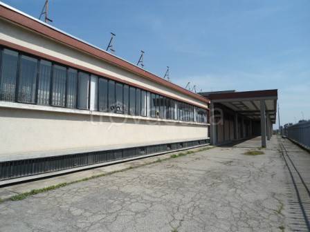 immagine annuncio 1 di 14