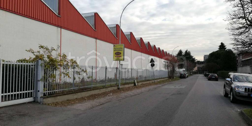 immagine annuncio 4 di 15