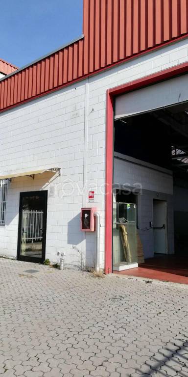 immagine annuncio 5 di 15