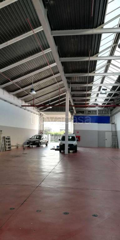 immagine annuncio 10 di 15