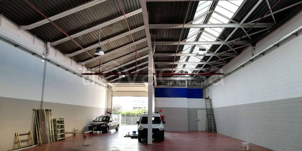 immagine annuncio 11 di 15